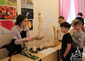 «Big Science: от нейрона до адрона»
